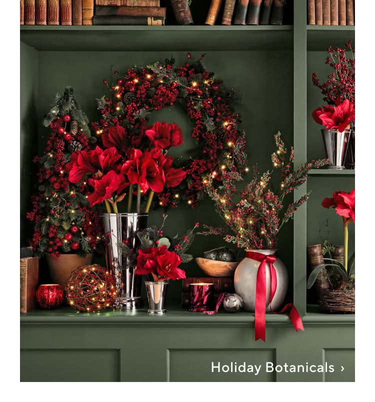 Shop Holiday Botanicals